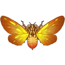 Spitfire Cicada