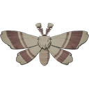 Kilima Night Moth