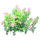 Flowering Pink Bush