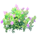 Flowering Purple Bush