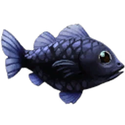 Black Sea Bass - Palia Fish - Palia Database