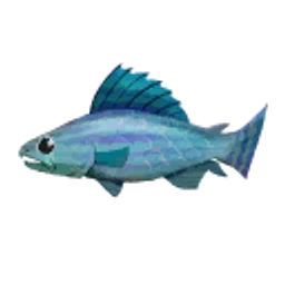 Rainbow Trout - Palia Fish - Palia Database