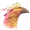 Rífroc