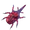 Blood Beetle