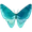Farfalla azzurra