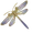 Schmuckflügel-Libelle