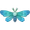 Lunar Fairy Moth