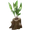 Brote