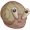 Caracolito