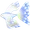 Angelfish