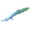 Dart Eel