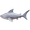 高地鲨鱼