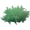Ancient Bush