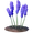 Chapaatail Flower