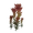 南天竹