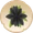 Bocciolo notturno